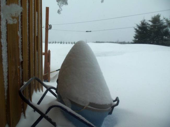 une belle bute de neige sur la poubelle Paquetville, NB