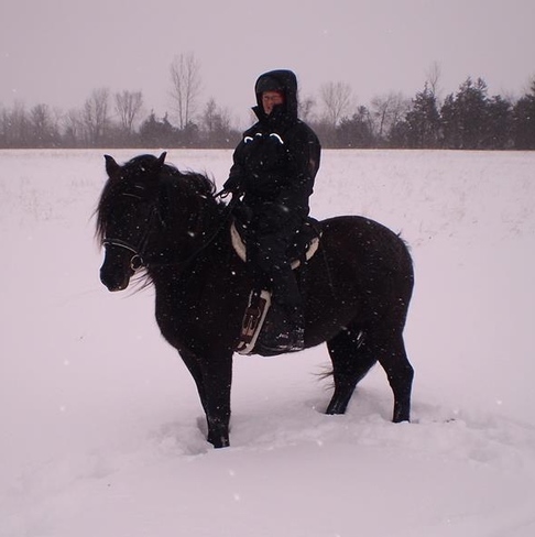Canadian girl, Canadian Horse, Canadian weather Belleville, ON