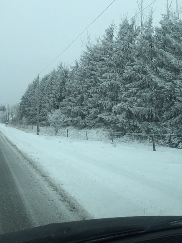 snowy Campbellville, Ontario Canada