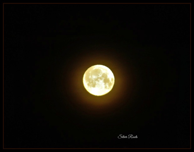 The moon 620am and last night walk through Peace Bridge. calgary ab