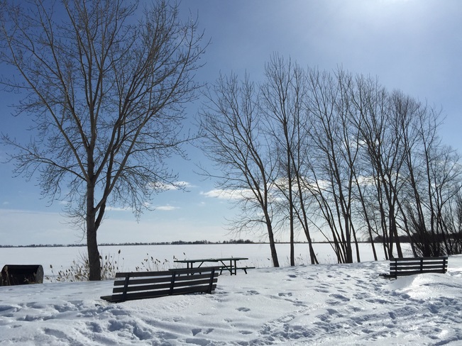 Winter's beauty Port Rowan, Ontario Canada