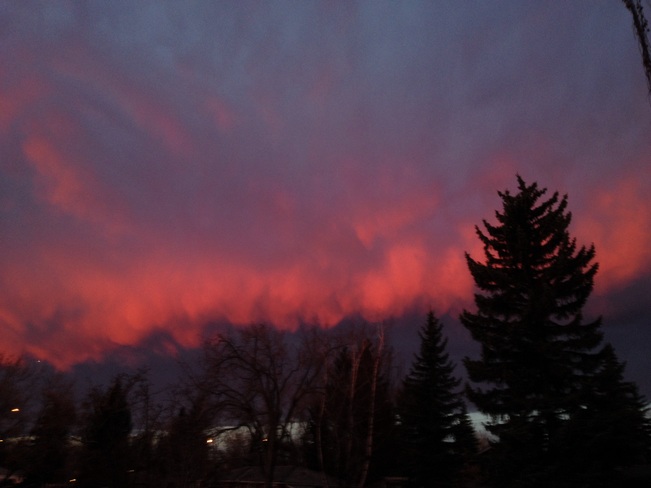 sunrise glow on low clouds Calgary, Alberta Canada