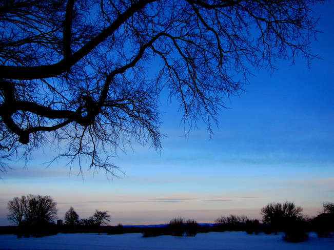 Un beau ciel de fin de mars... Plaines d'Abraham, Avenue Wilfrid-Laurier, Québec, QC