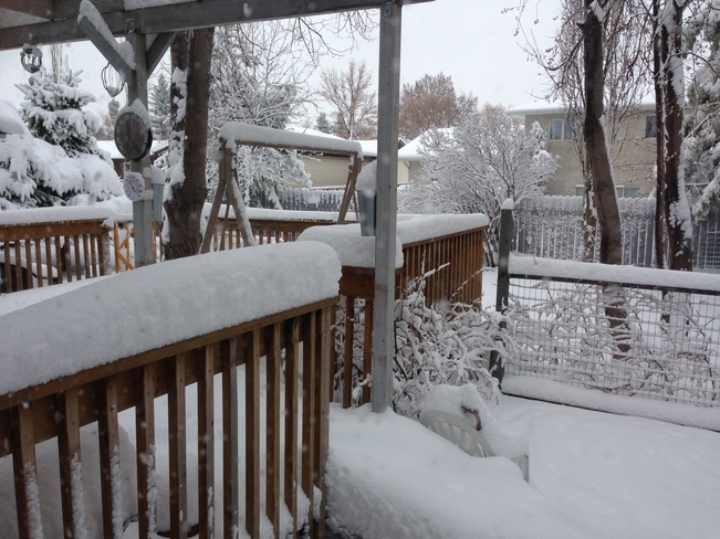 Saskatton snowstorm April 25-26, 2015 Saskatoon, SK
