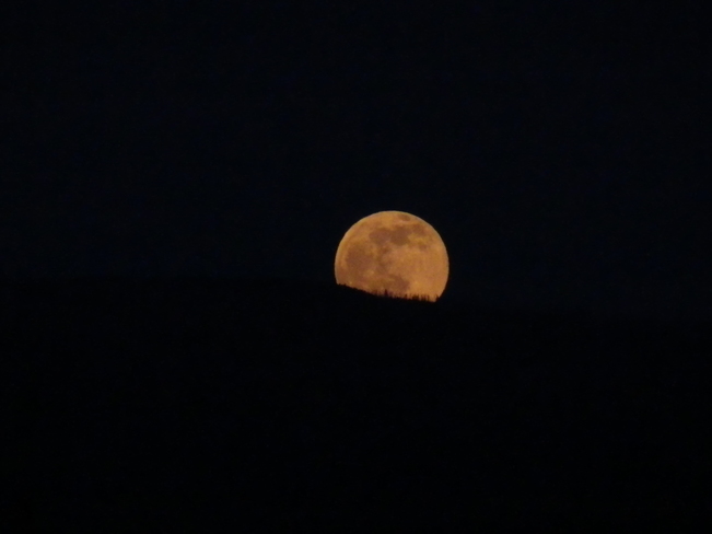 Moon Rising Westbank, West Kelowna, BC