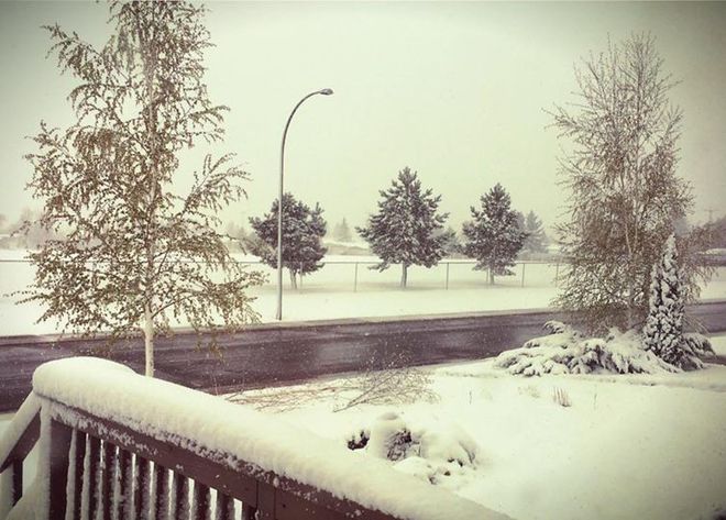 Old man winter didn't really want to leave Edmonton, AB
