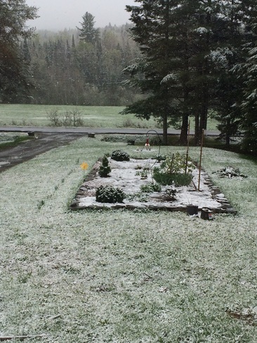 Snow In Penniac Penniac, NB