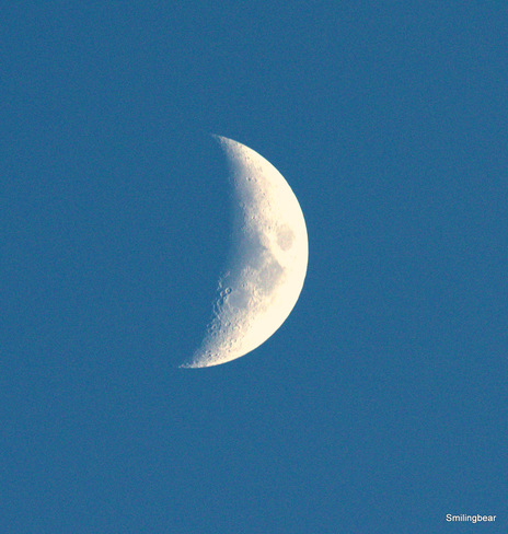 Moon shot.. Rose Lynn, AB