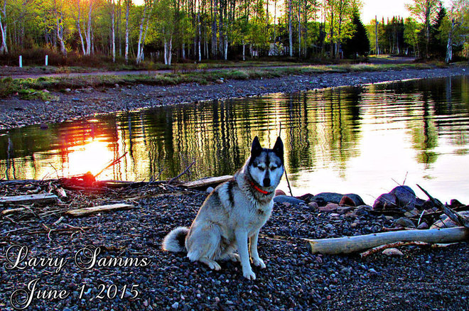 "Leka's First Picture in June" Springdale, Newfoundland and Labrador