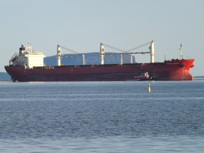SHIP BEING BROUGHT INTO PORT Thunder Bay, ON