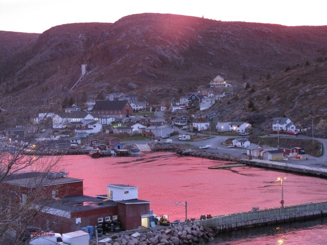 Sun Set Newfoundland and Labrador