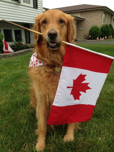 Patriotic Pup! Saint George, ON
