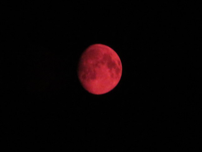 Red Moon Brandon, Manitoba