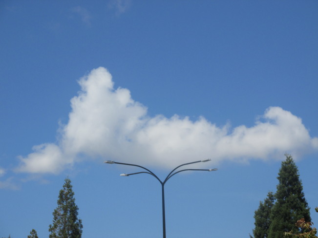 new Olympic event - cloud balancing Surrey, BC