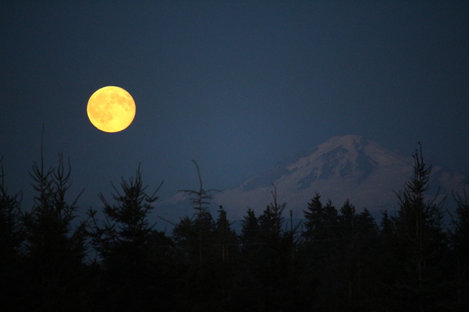 Blue Moon with Mt. Baker Surrey, BC
