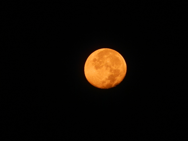 Orange moon after Blue moon Richmond, BC