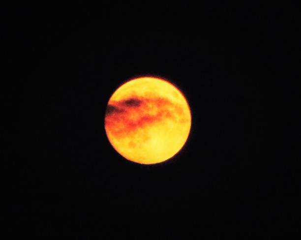 friday aug 28 9pm orange moon Thunder Bay, ON