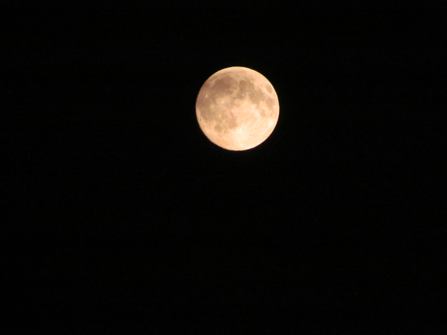 moon gazing Charlton, Ontario