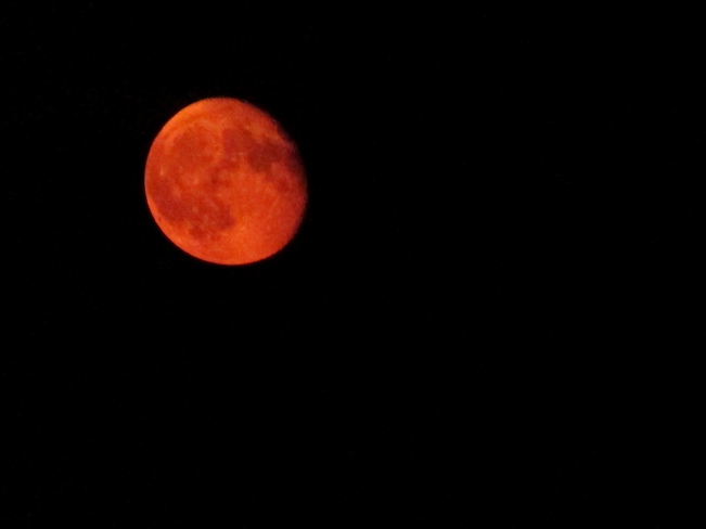 Red Moon Orangeville, ON