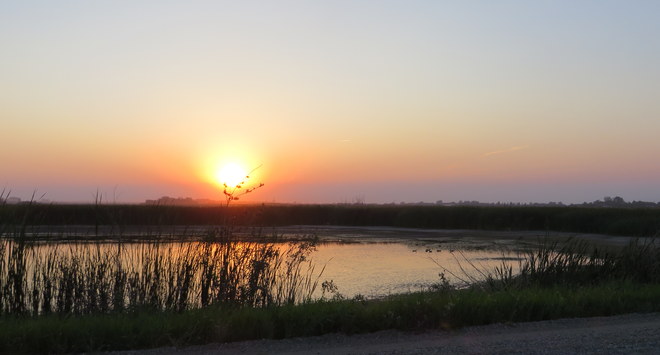 Sunset on the ponds Brandon, Manitoba