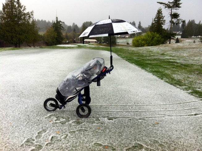 Hail Storm today at Arbutus Ridge Cobble Hill, BC