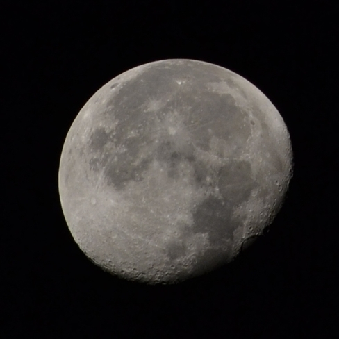 Moon Cambridge, ON