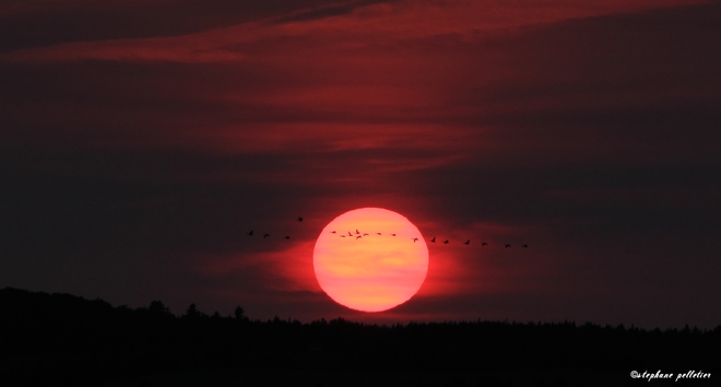 coucher de soleil Parc national de Frontenac - Secteur Saint-Daniel, Adstock, QC