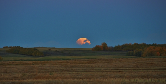 Blood super moon Saskatoon, SK