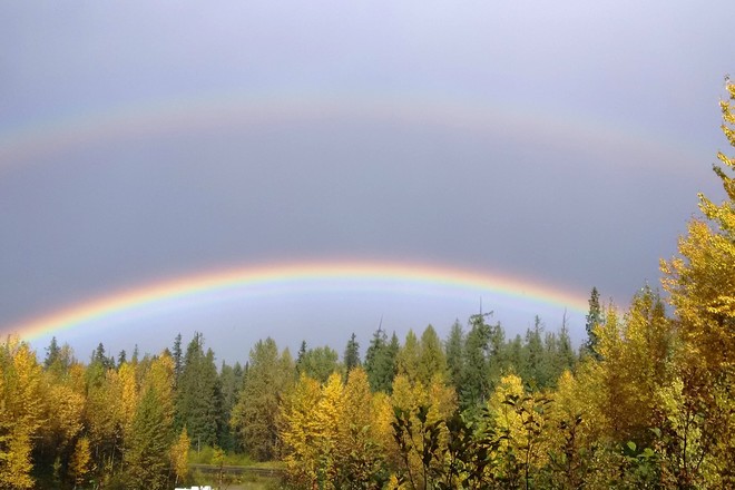 Autumn rainbow Yellowhead Hwy, Fraser-Fort George F, BC V0J, Canada