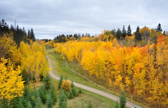 Fall in Camrose and Edmonton Camrose, AB