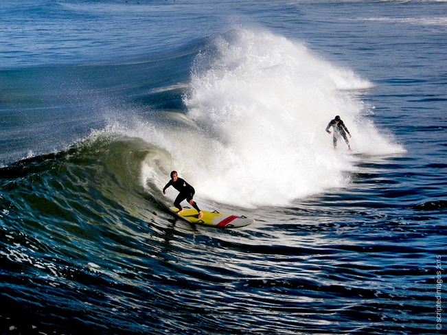 Surfs Up In OB Ocean Beach, San Diego, CA, United States