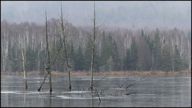 Foggy, wet day, Elliot Lake. Elliot Lake, ON