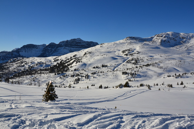 New Year's day skiing blast Sunshine Village, Banff, AB