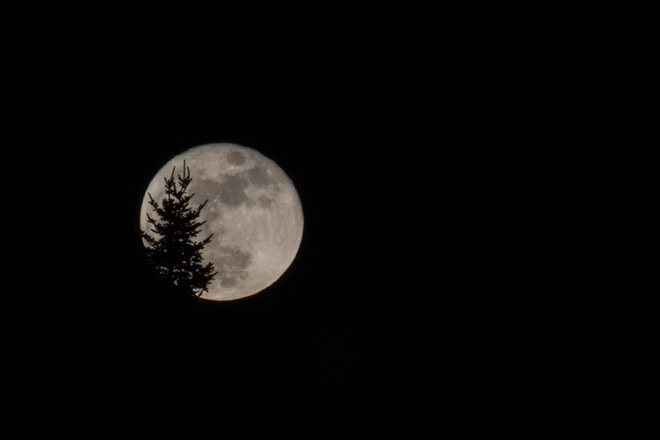 Full wolf moon Sheldon Point Trail, Saint John, NB E2M 4Z9, Canada