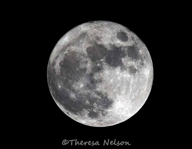 Wolf moon Belleville, ON