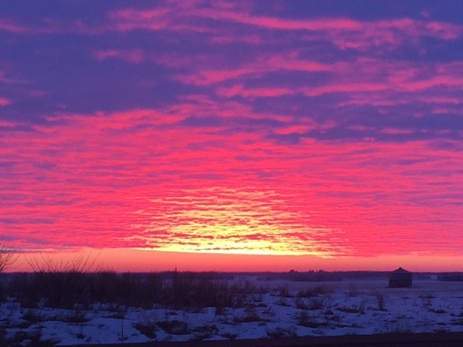 Alberta sunrise Stettler, AB