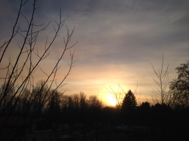 Morning sunrise Courtenay, BC
