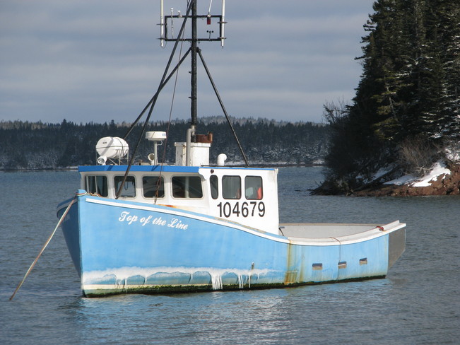 Blue Lobster Boat Little Lepreau, NB