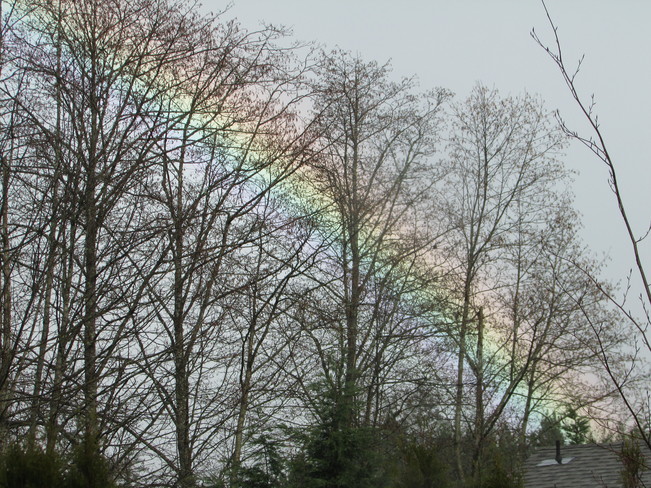 Glorious Rainbow Coombs BC