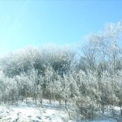 belle nature de hiver