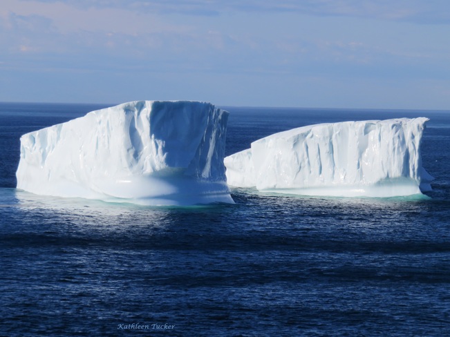 Plenty of beautiful icebergs in Iceberg Alley Fishing Point, St. Anthony, NL