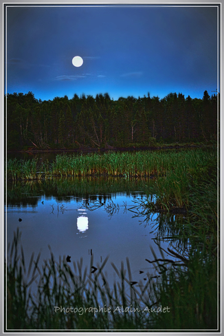 Reflet de lune 272-310 Chemin 3 du Lac Sébastien, Saint-David-de-Falardeau, QC G0V, Canada