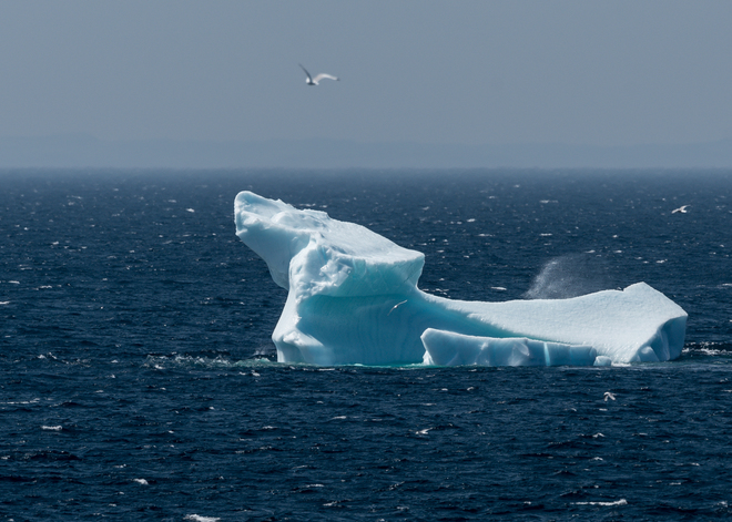 Iceberg In Summer Cape Shore Rd, Bonavista, NL A0C 1B0, Canada