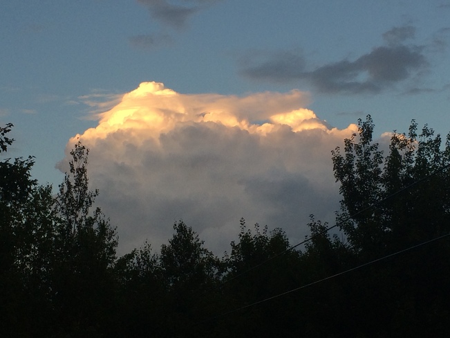 Beautiful Cloud Rusagonis, NB