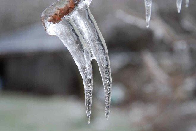 Ice Storm Tooth Bright, Ontario