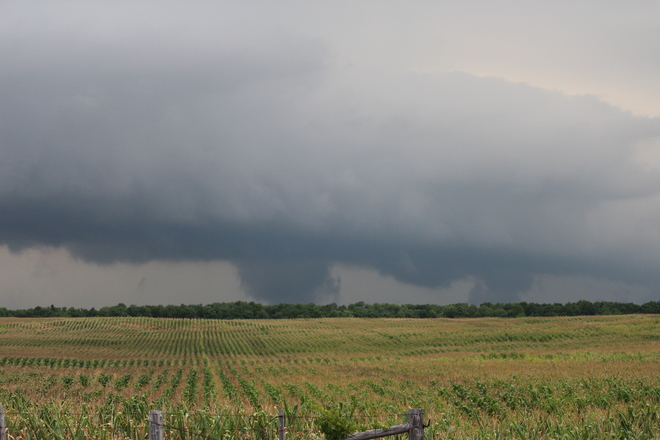 Possible Wedge Tornado? Near Holyrood, Ontario