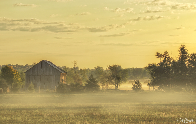 Old Barn in the Morning Mist at Dawn Port Elmsley, ON