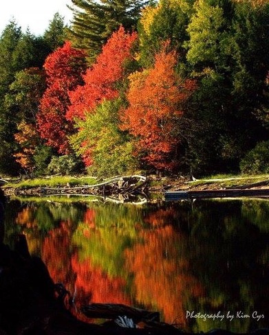 Fall Colours in Haliburton Ontario Photography by Kim Cyr Haliburton, ON