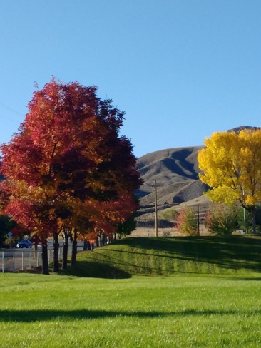 Fall colours Ashcroft 4, BC