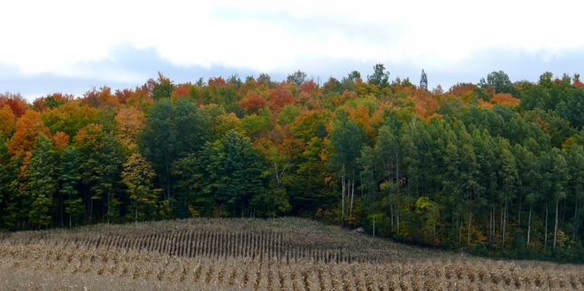 Fall in Ontario Ontario